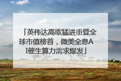 英伟达高歌猛进重登全球市值榜首，微美全息AI催生算力需求爆发